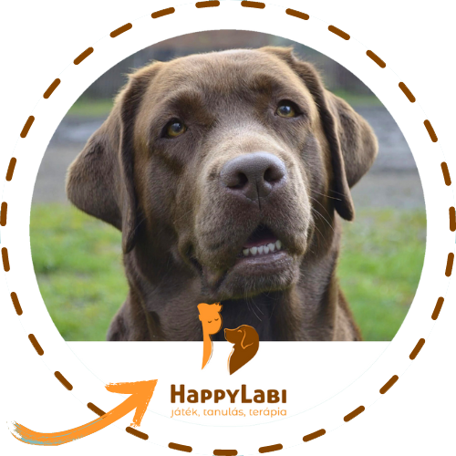 happylabi.com